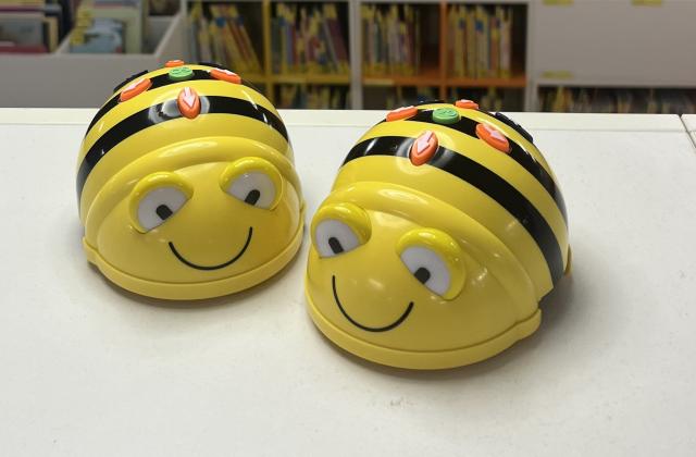 Bee-Bots