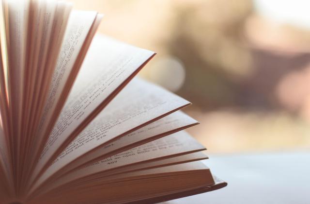 Bildaufnahme von einem Buch
