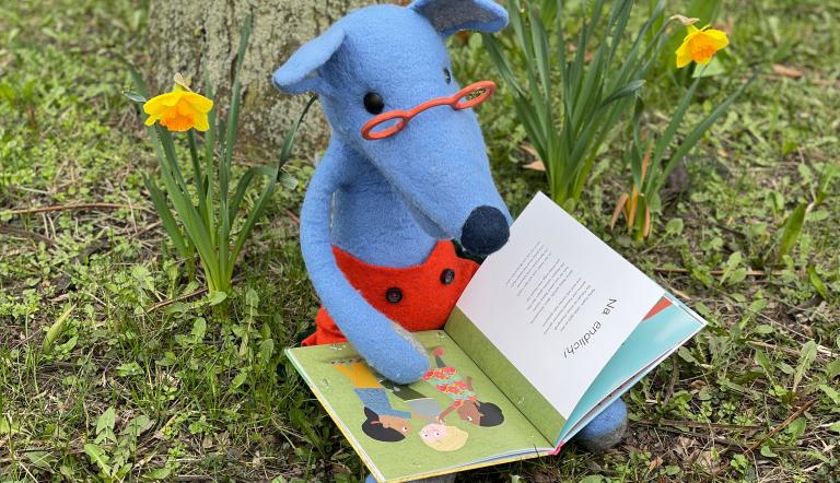 Lupe liest im Frühling, Foto: Henrike Okrent