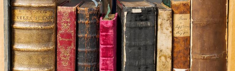 Das Bild zeigt ein Regal mit historischen Büchern.